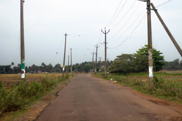 istock Road in the paddy field 1395267733