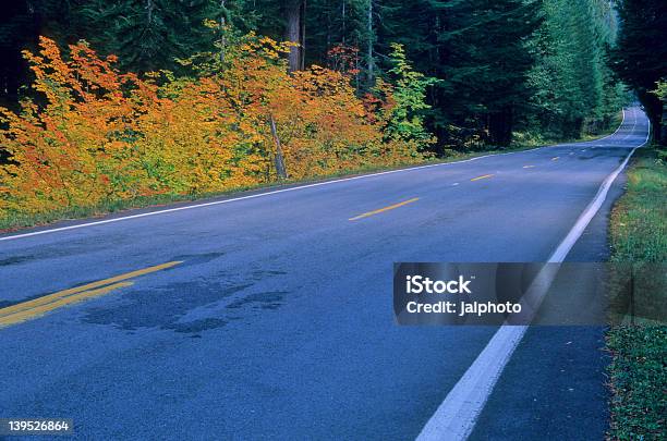 Straße 11 Stockfoto und mehr Bilder von Baum - Baum, Bundesstaat Washington, Einspurige Straße