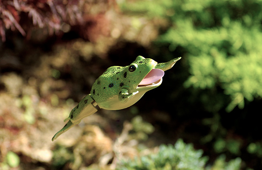 Photo of a Plastic Frog In Mid Air.