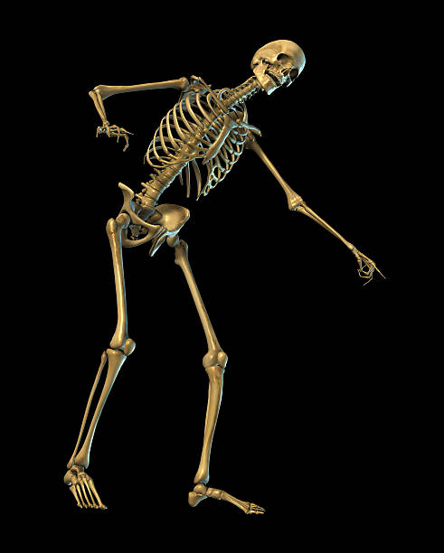istock Skeleton Laughing and Pointing - on black with clipping path 139527152