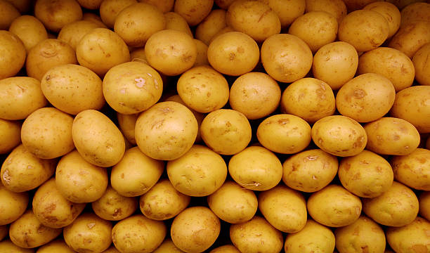 Pommes de terre blanches - Photo