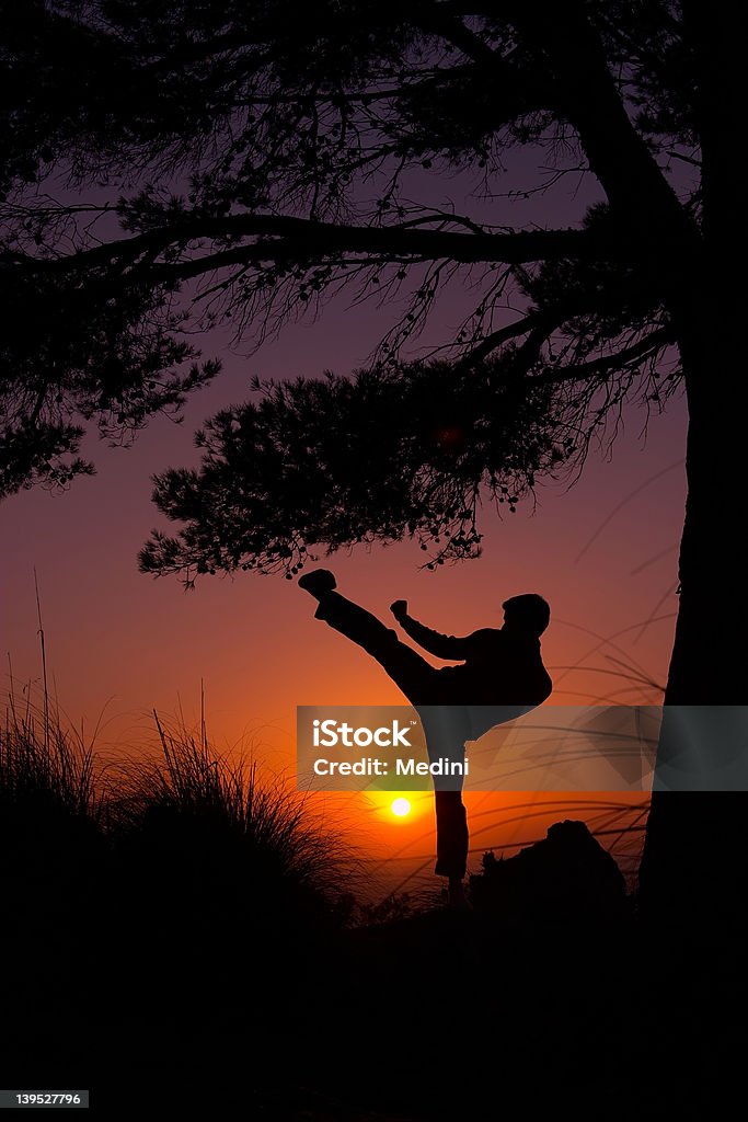 Twilight Kick A martial art kick (taekwondo) with sunset Asia Stock Photo