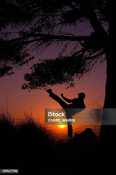 Twilight Kick Stock Photo - Download Image Now - Asia, China - East Asia, Combat Sport