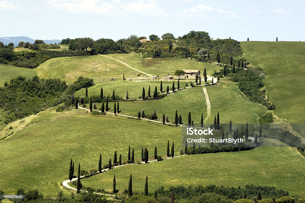 Toscane Road - Photo de Agriculture libre de droits