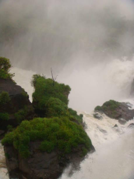 istock Iguazu Falls, 2010 1395278717