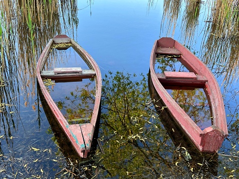 Beautiful river with old sunken boats on the shore. Scenic reflection of trees and reed in clear calm water. Wonderful summer nature. Submerged wooden boat. Abandoned boats on the river in the reeds.