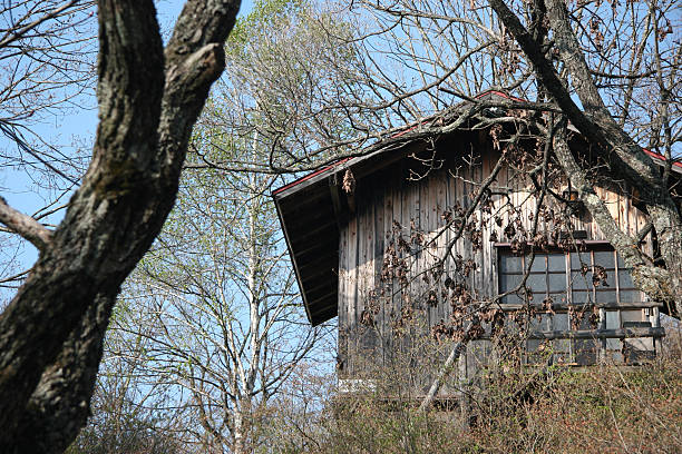 istock Country lodge 139527994