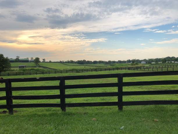 istock Kentucky Horse Farm 1395280891