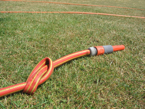 garden hose lying on the grass