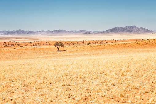 The Namib Rand Nature Reserve is one of the largest private nature reserves in Africa, covering 202,200 hectares. Photography from the desert landscape in Namibia.