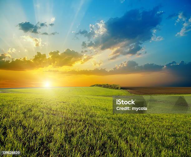 Sunset Over Expansive Green Field Stock Photo - Download Image Now - Agricultural Field, Horizon, Landscape - Scenery
