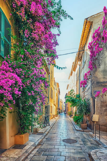 Saint Tropez Village