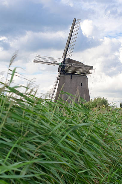 istock Mills in Holland 139529028