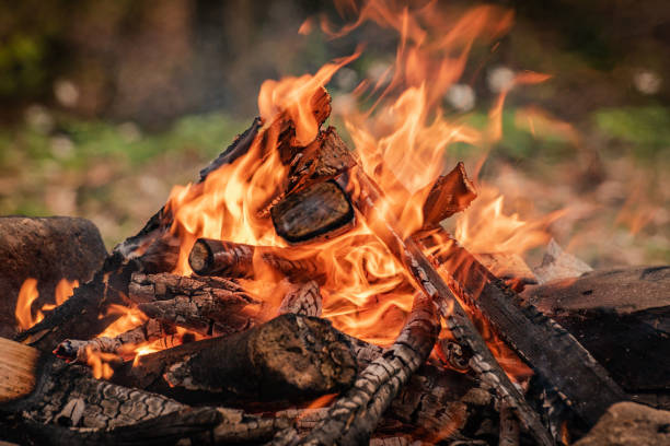 istock Firewood fire on the bank of a mountain spring river 1395292861