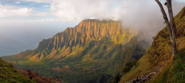 panorama hawajskich gór na pali - rugged coastline zdjęcia i obrazy z banku zdjęć