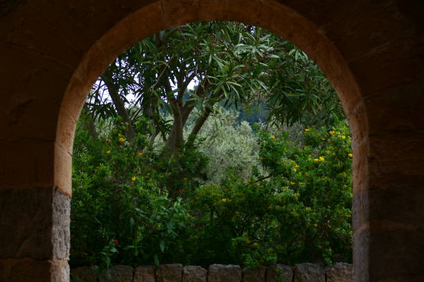 Private garden in summer