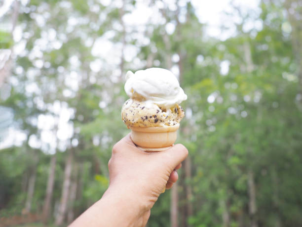 istock hand holding ice cream over blurred green forest background. 1395298528