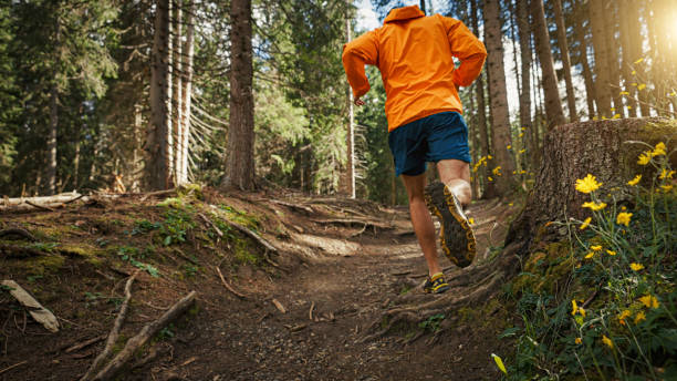 istock Man trail running on mountain: the Dolomites 1395300021