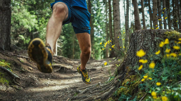 istock Man trail running on mountain: the Dolomites 1395300599