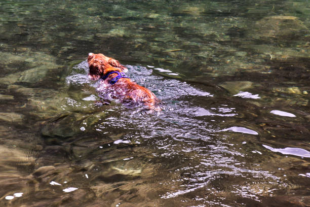 istock Splash! An Lochan Uaine (Green Lake) 1395300705