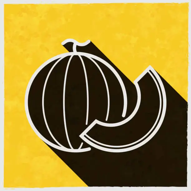 Vector illustration of Melon and slice. Icon with long shadow on textured yellow background