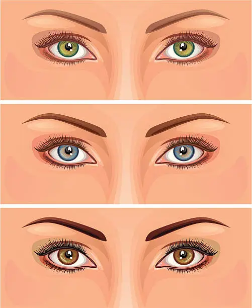 Vector illustration of Eye