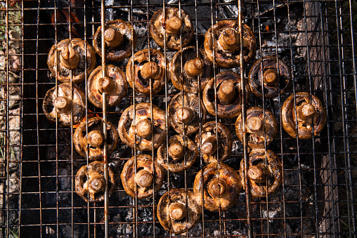 Fried delicious champignons on a campfire, outdoor cooking, picnic, vacation