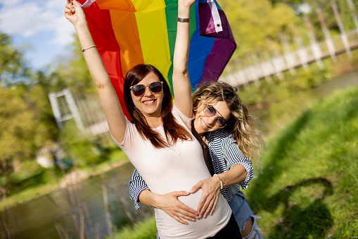 Pregnant lesbian couple with rainbow flag  standing, looking at camera and smiling in green nature on sunny day