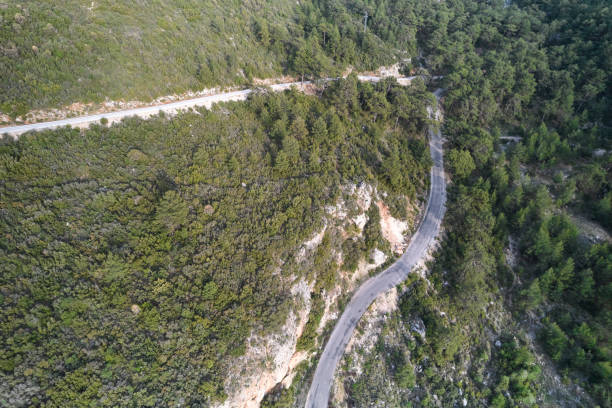 istock Aerial View of a road winding through a forest 1395310185