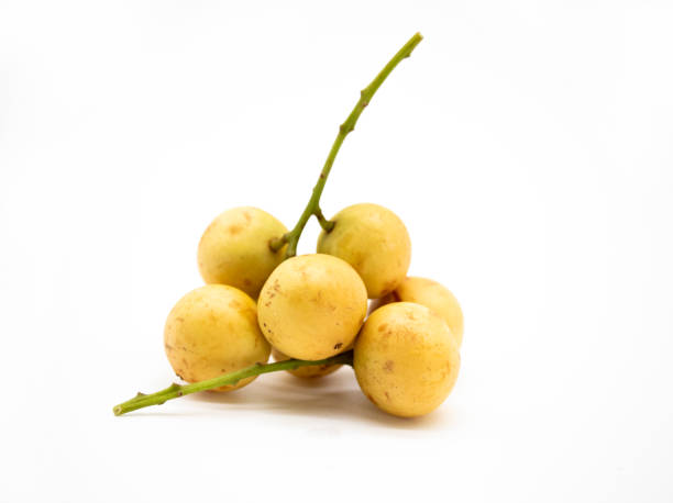 istock Baccaurea motleyana isolate on white background 1395310374