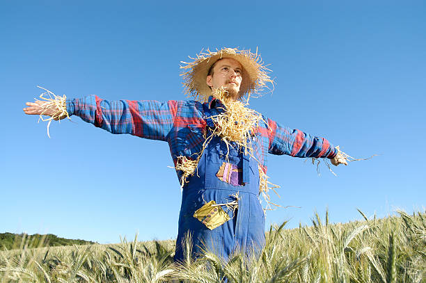 human scarecrow V stock photo
