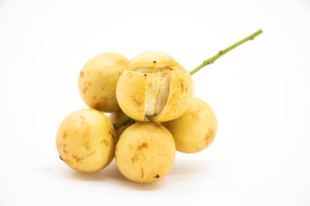 istock Baccaurea motleyana also known as lotkon isolate on white background 1395310925