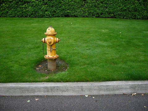 Grassy slope with a single, elevated yellow hydrant