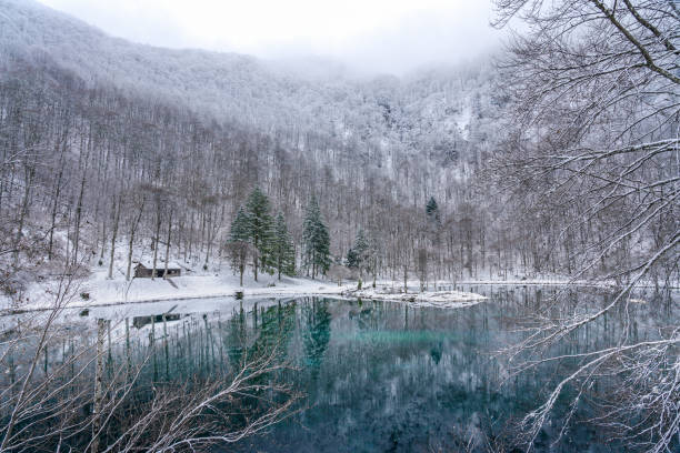 istock Lac de Bethmale in winter 1395311423