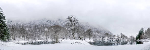 istock Lac de Bethmale in winter 1395311434