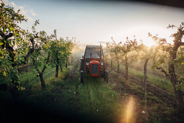 irrorazione di frutteti, protezione chimica - spraying agriculture farm herbicide foto e immagini stock