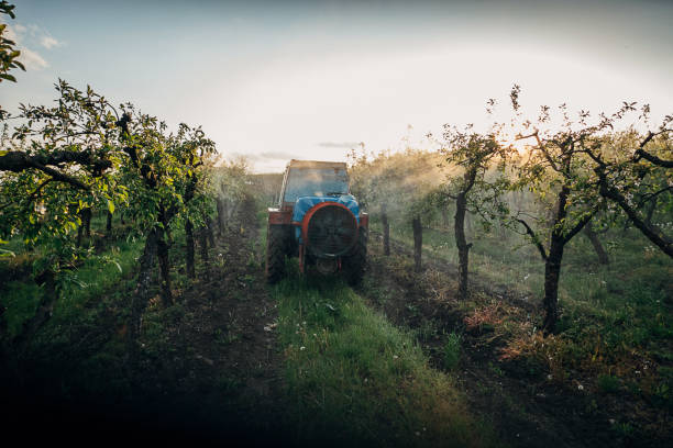 istock Orchard spraying, chemical protection 1395312680