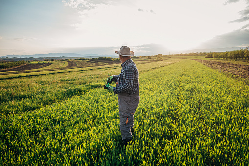 Portrait of a confident caucasian smiling tooth farmer using a hat, and holding a hoe near the farm fence. Looking at camera.