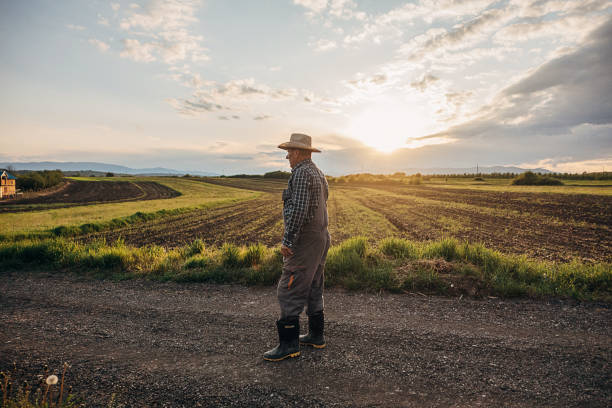 Farmer in an agricultural field