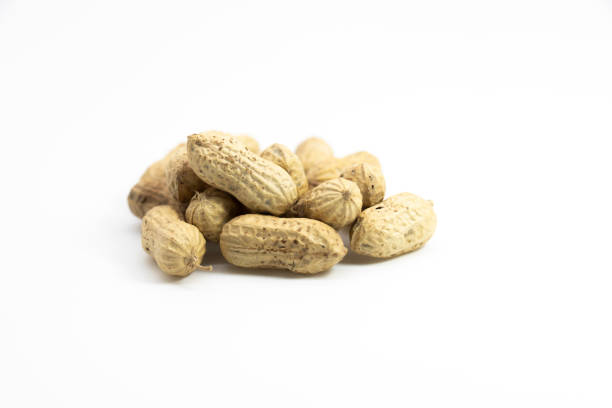 peanut, close-up, isolated on white background. stock photo