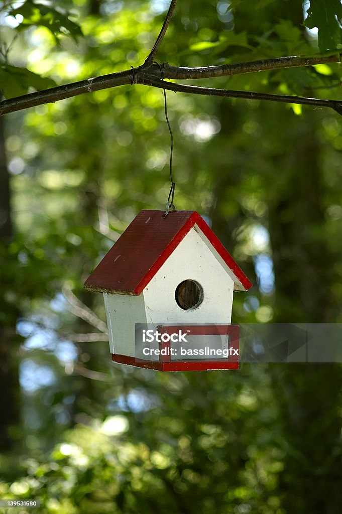 Casetta per gli uccelli - Foto stock royalty-free di Casetta per gli uccelli