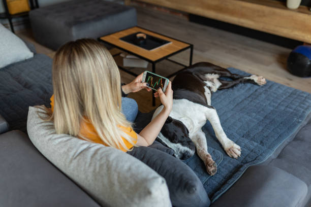 istock Young woman trading cryptocurrencies at home 1395316098