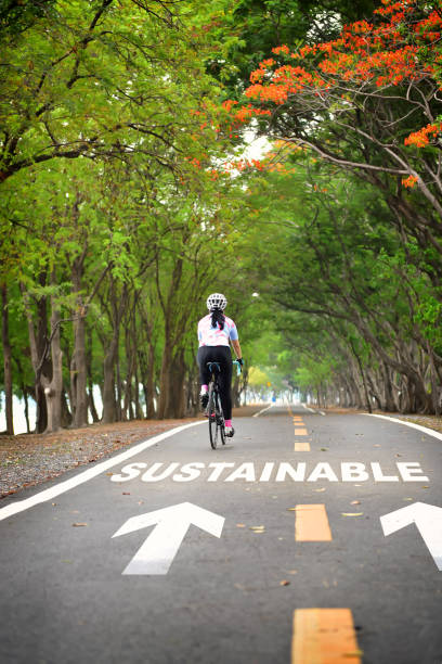 istock Sustainability concept and development lifestyle idea 1395316162