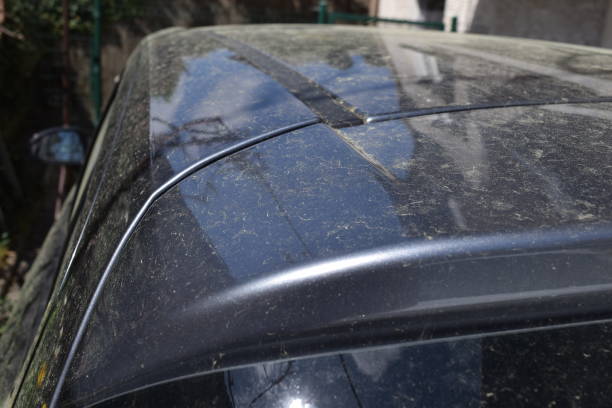 istock Pollen on the car roof. 1395317077