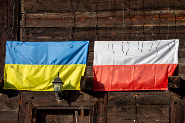 Ukrainian and Polish flags a sign of support and solidarity Ukrainian and Polish flags a sign of support and solidarity solidarity labor union stock pictures, royalty-free photos & images