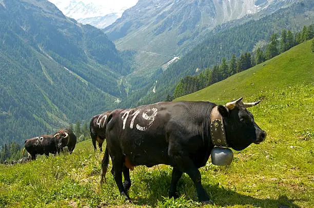 Photo of Alp Avion, Switzerland