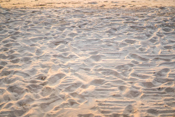 песок на пляже на фоне. крупный план. селективный фокус - sandy brown стоковые фото и изображения
