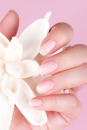 Female hand with beautiful natural manicure - pink nude nails with white dried flower on pink background. Nail care concept