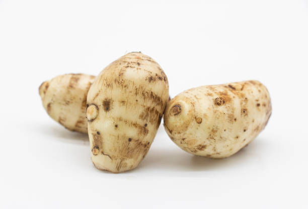 taro root or Arbi on white background, it's have full on calcium and iron stock photo