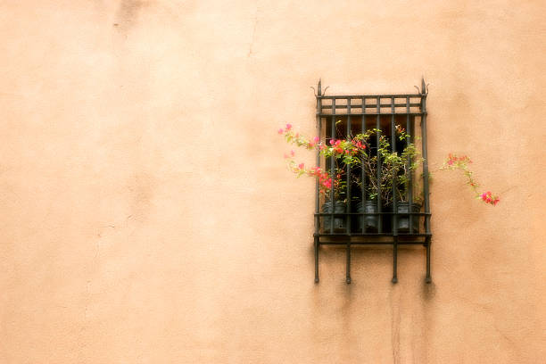 Janela com grelha e flores - fotografia de stock